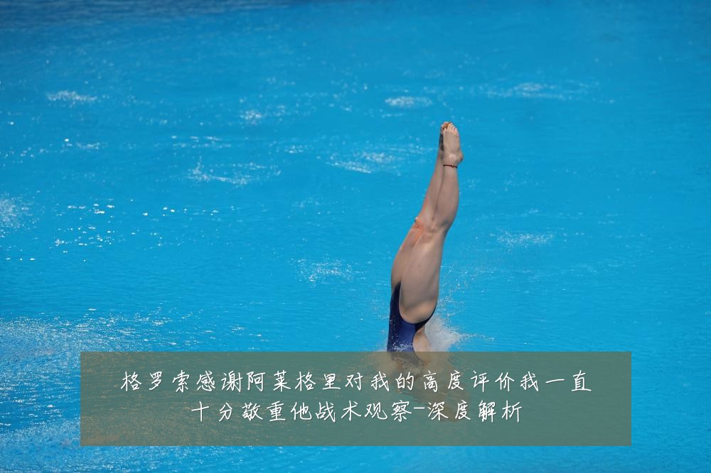 格罗索感谢阿莱格里对我的高度评价我一直十分敬重他战术观察-深度解析