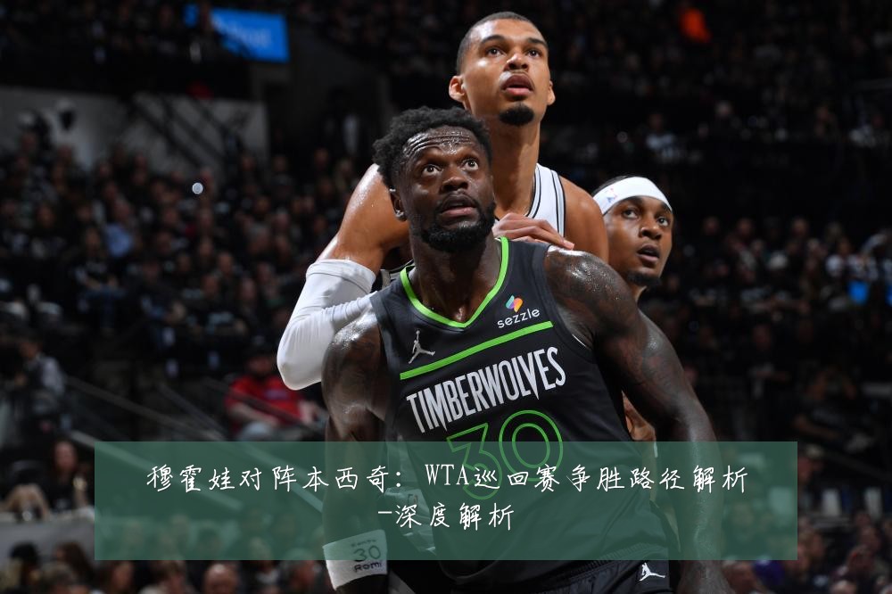 穆霍娃对阵本西奇:WTA巡回赛争胜路径解析-深度解析
